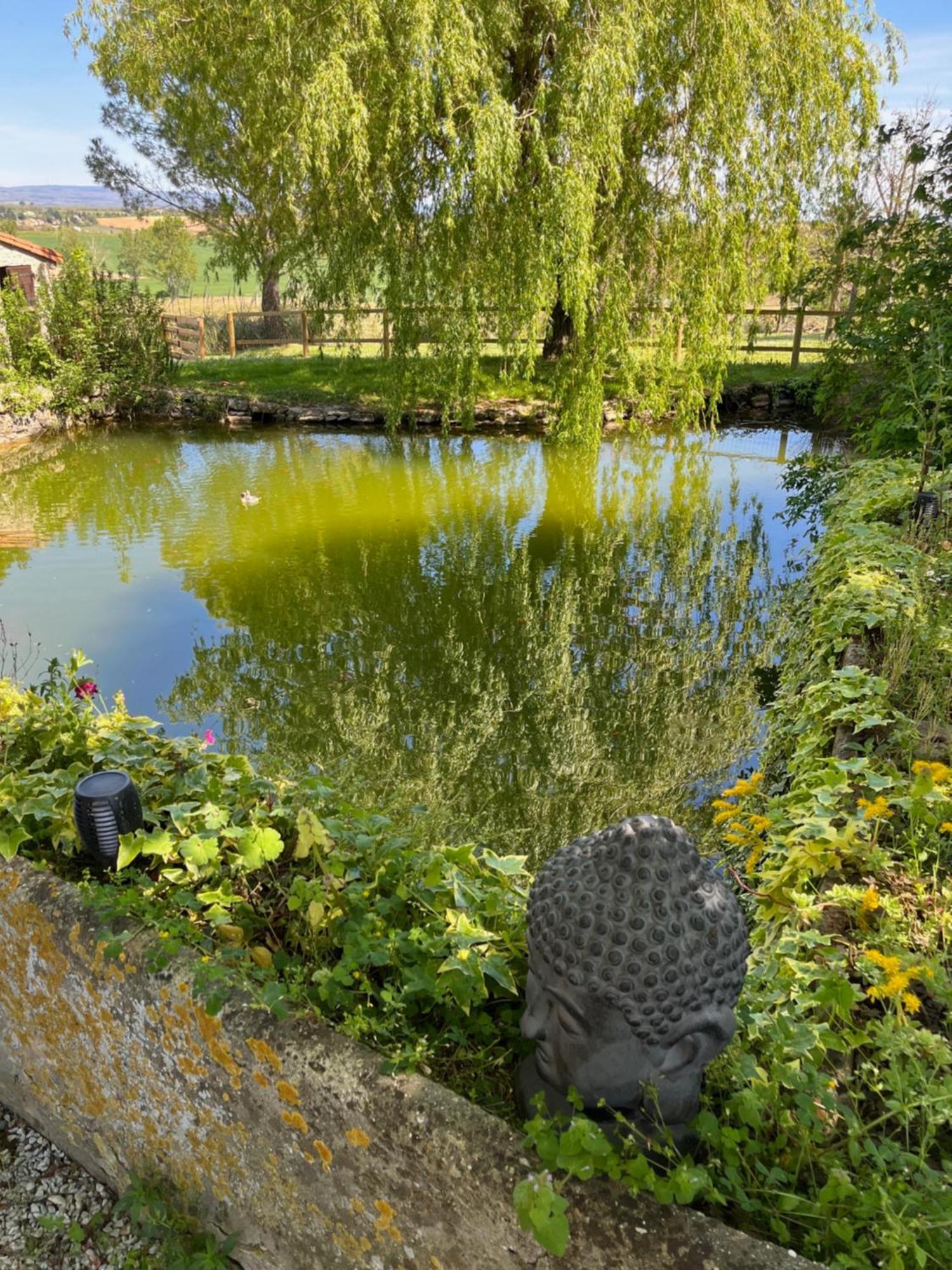 Domaine Saladry Villa Villepinte  Kültér fotó