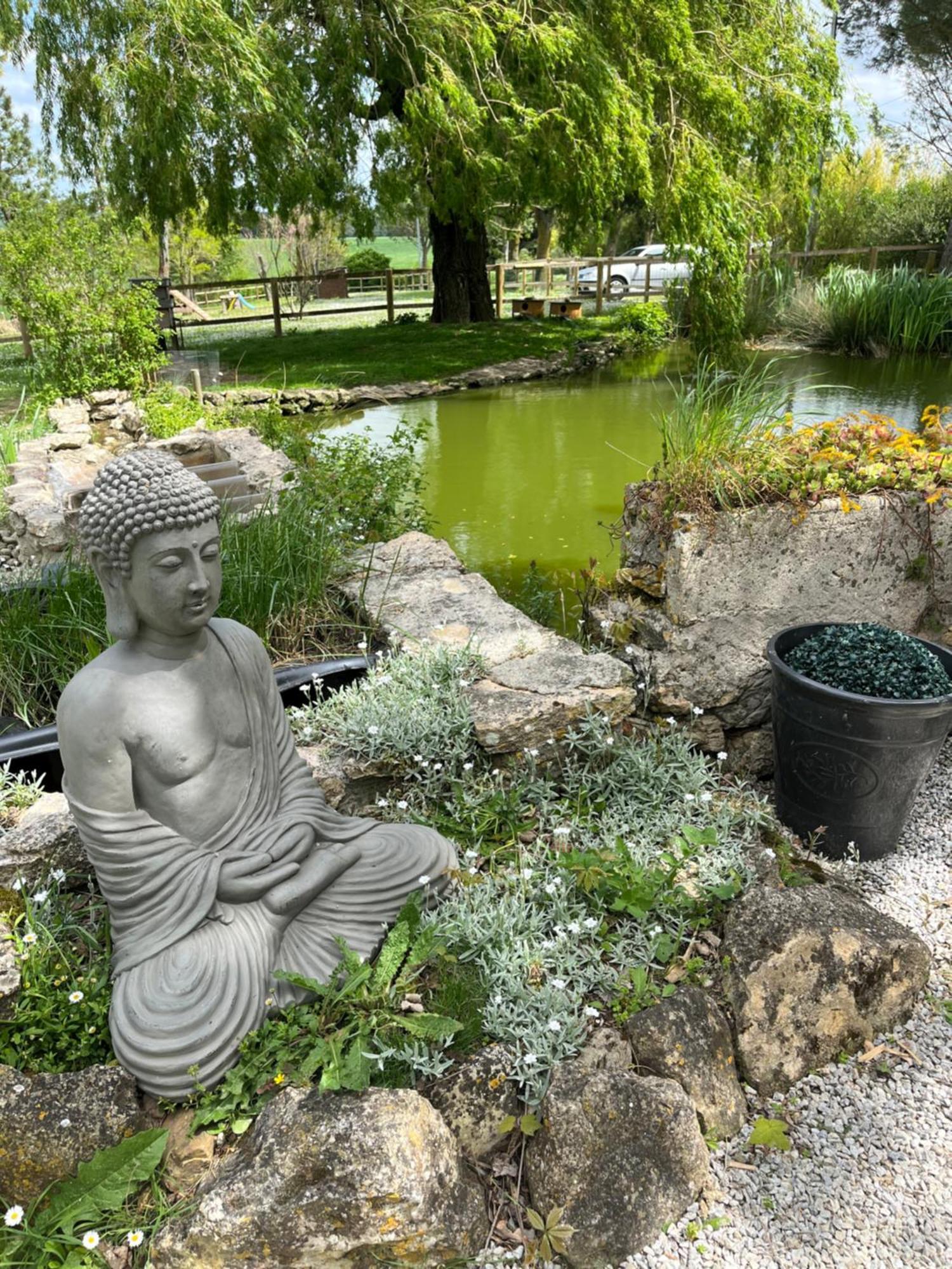 Domaine Saladry Villa Villepinte  Kültér fotó